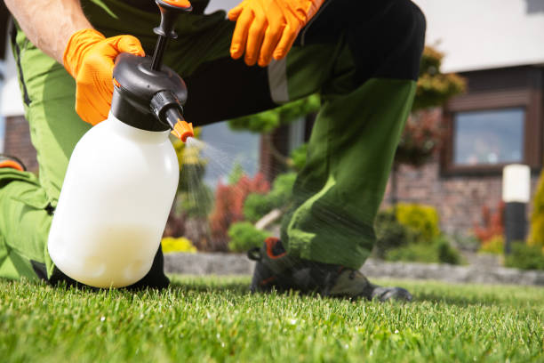 Best Mosquito Control Services  in Camanche, IA