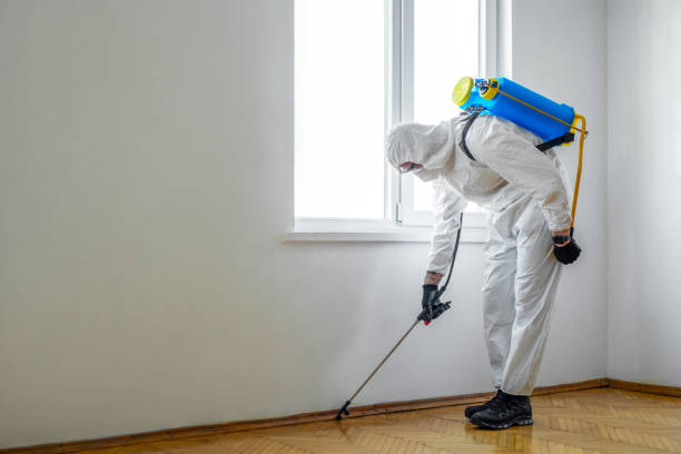 Best Bed Bug Extermination  in Camanche, IA