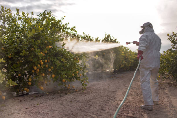 Best Exterminator Services  in Camanche, IA