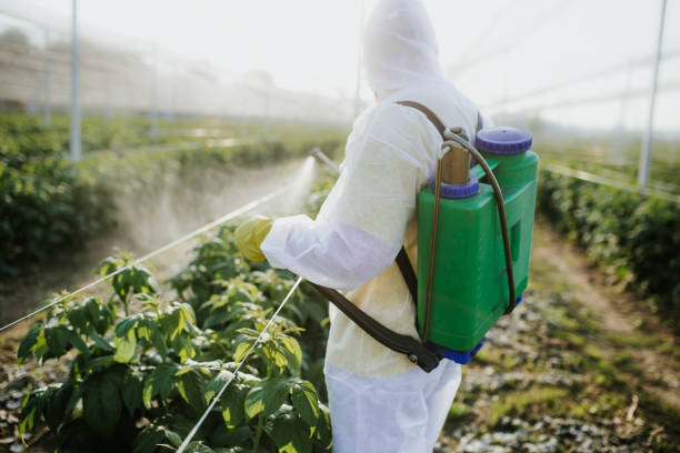 Best Best Pest Control Companies  in Camanche, IA